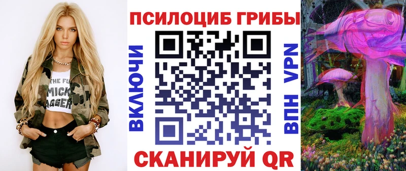 цена   Магнитогорск  Псилоцибиновые грибы мухоморы 